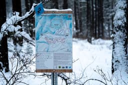 Image of the Nordic Ski Trails map sign at the Pattee Canyon Recreation Area.