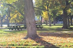 Sacajawea Park