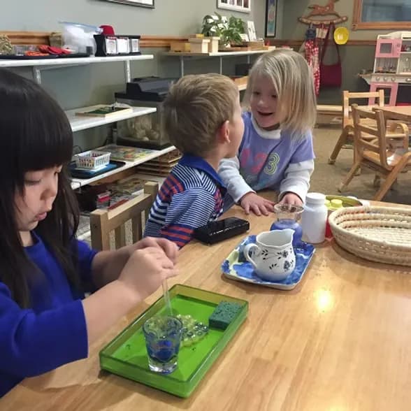 Montessori Plus International provider photo