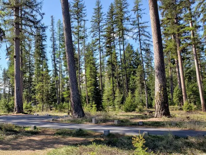 Image of Seeley Lake Campground
