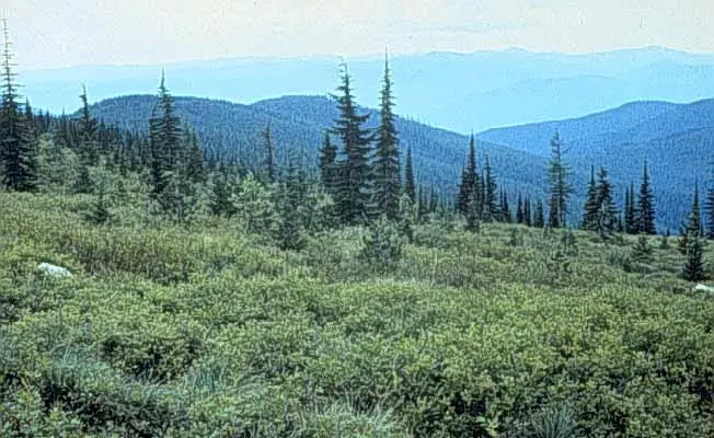 Goat Mountain Trail #148