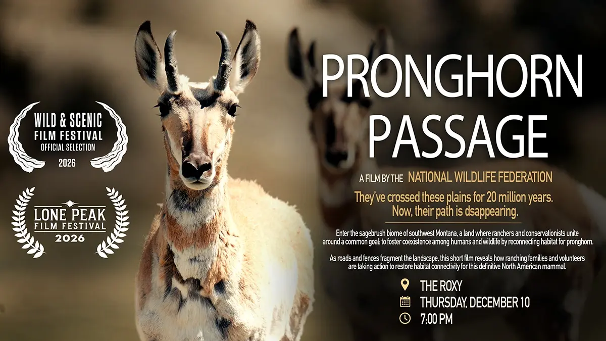 Poster for Pronghorn Passage