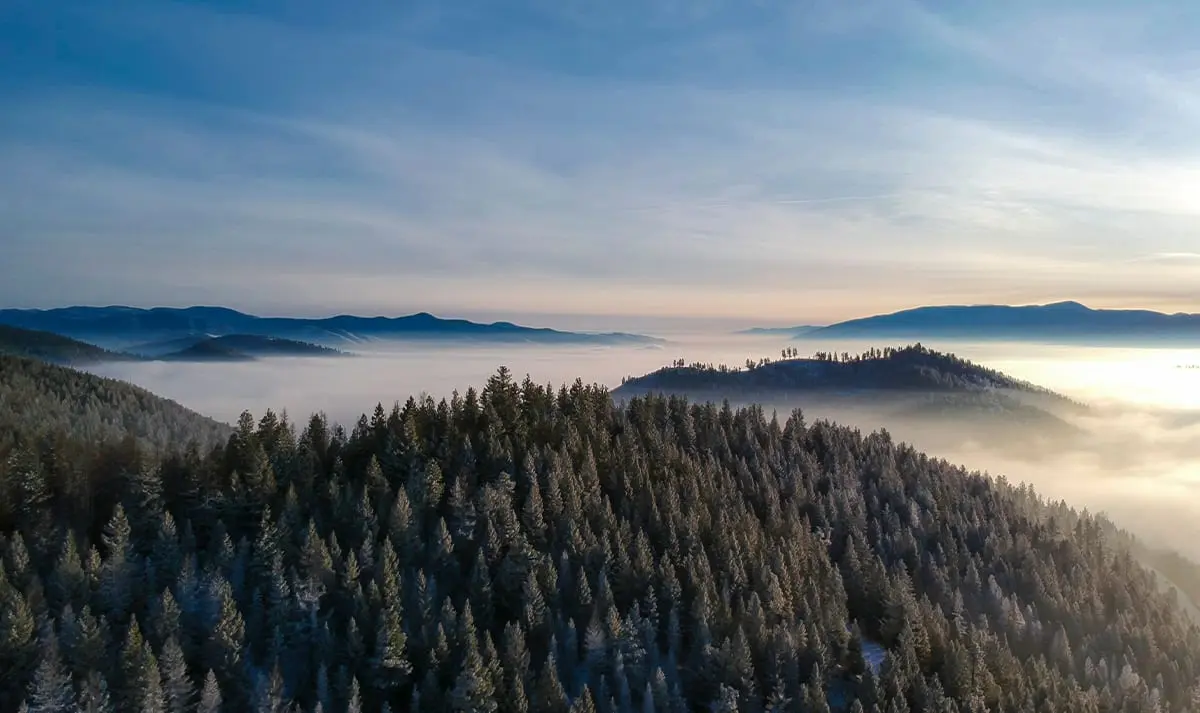 rolling hills with fog
