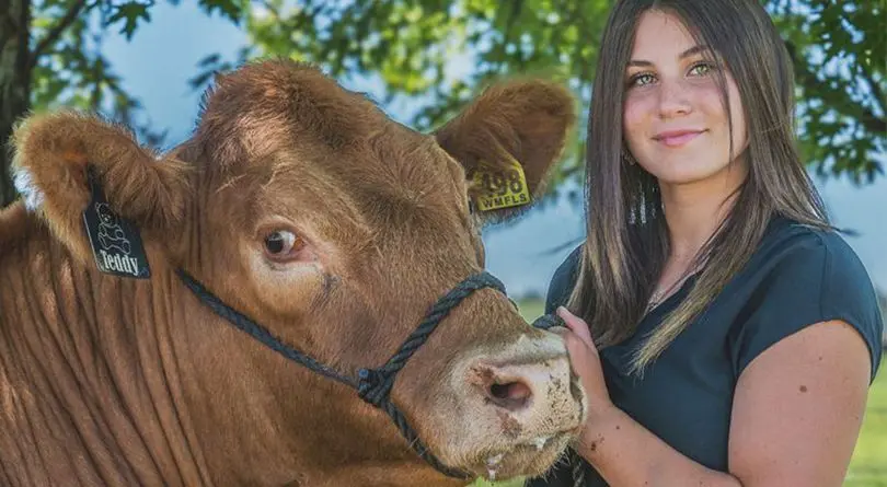 A young woman stands next to a brown cow wearing a rope halter.