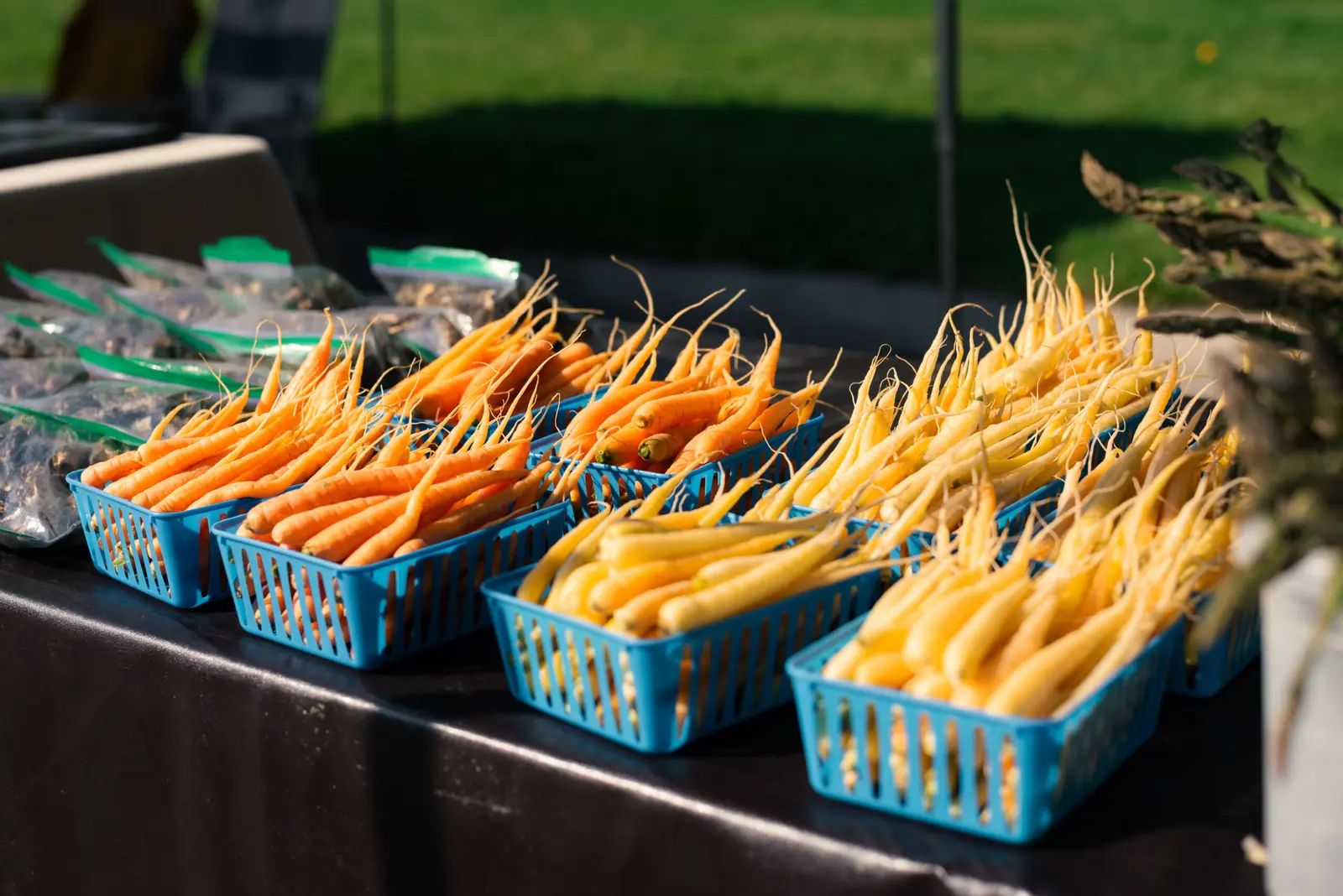 Baskets of fresh orange and yellow carrots are displayed on a table.