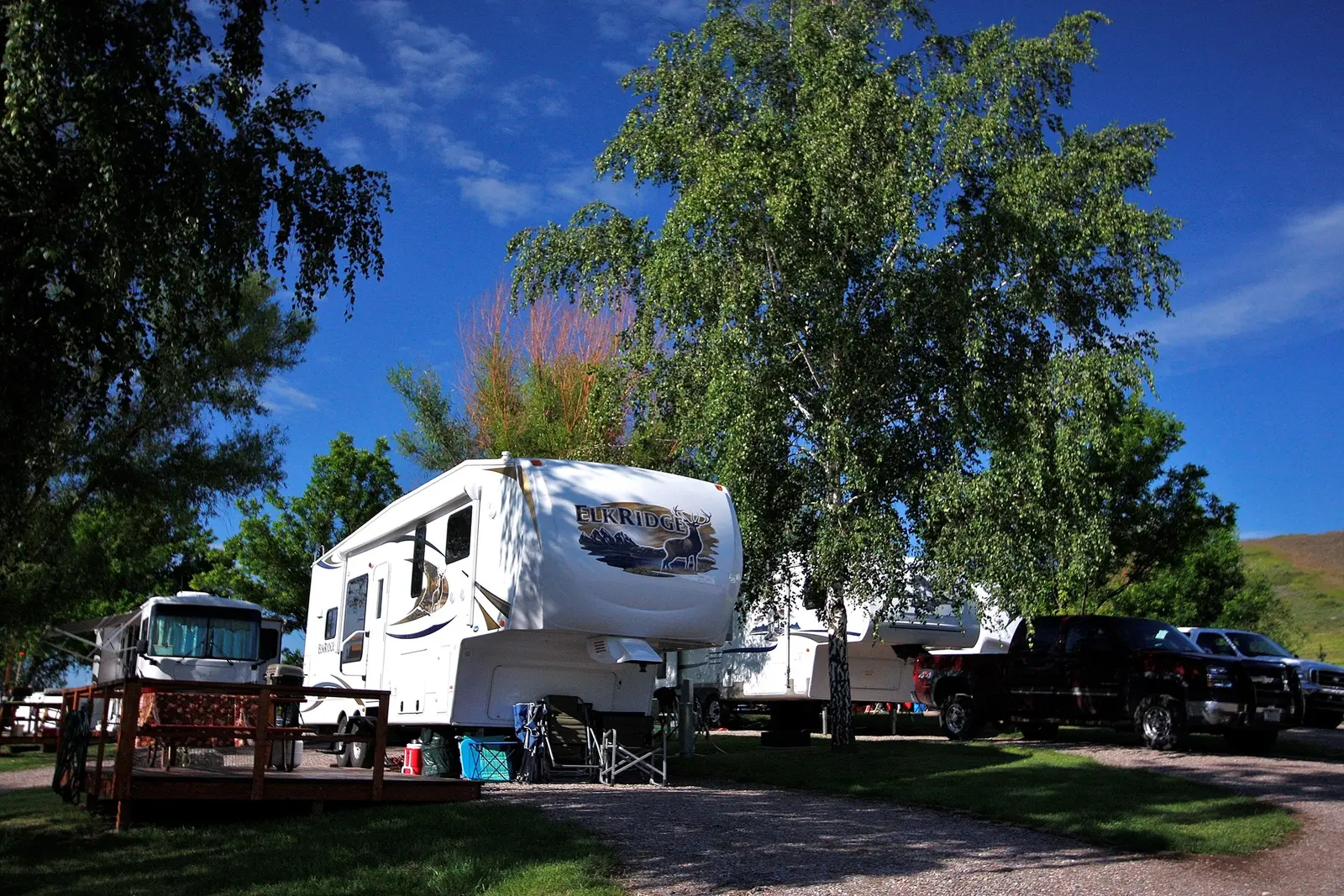 A row of RVs is parked in a campsite surrounded by trees under a clear blue sky.