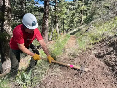 A volunteer trail crew member digs into the side of a dirt trail in a forest.