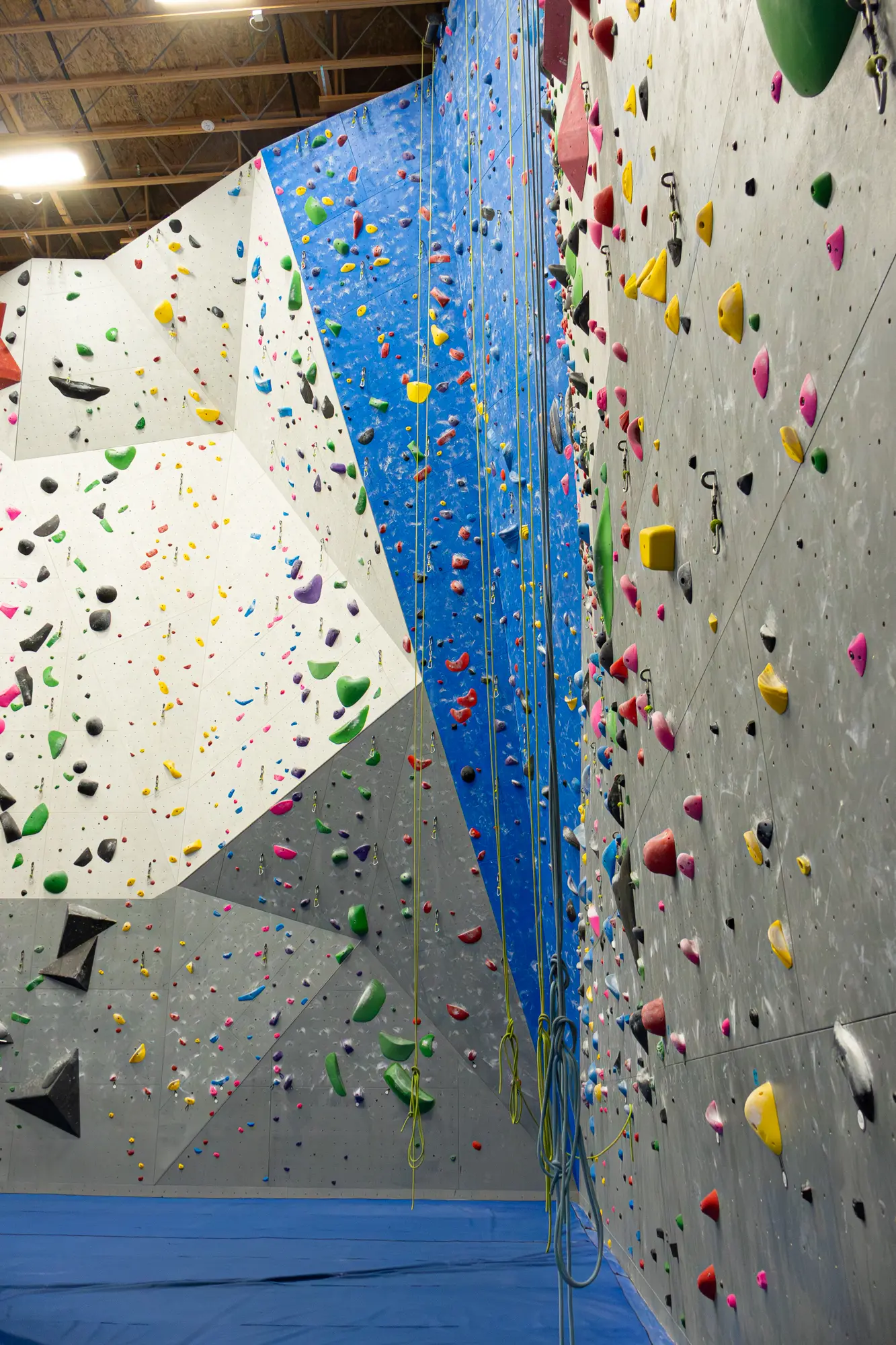 A large indoor rock climbing wall features colorful holds and hanging ropes.