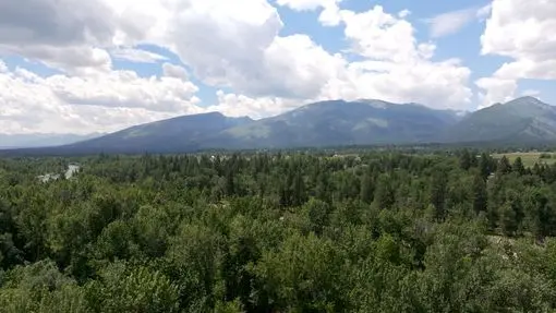 An aerial view of a forest with mountains in the background.