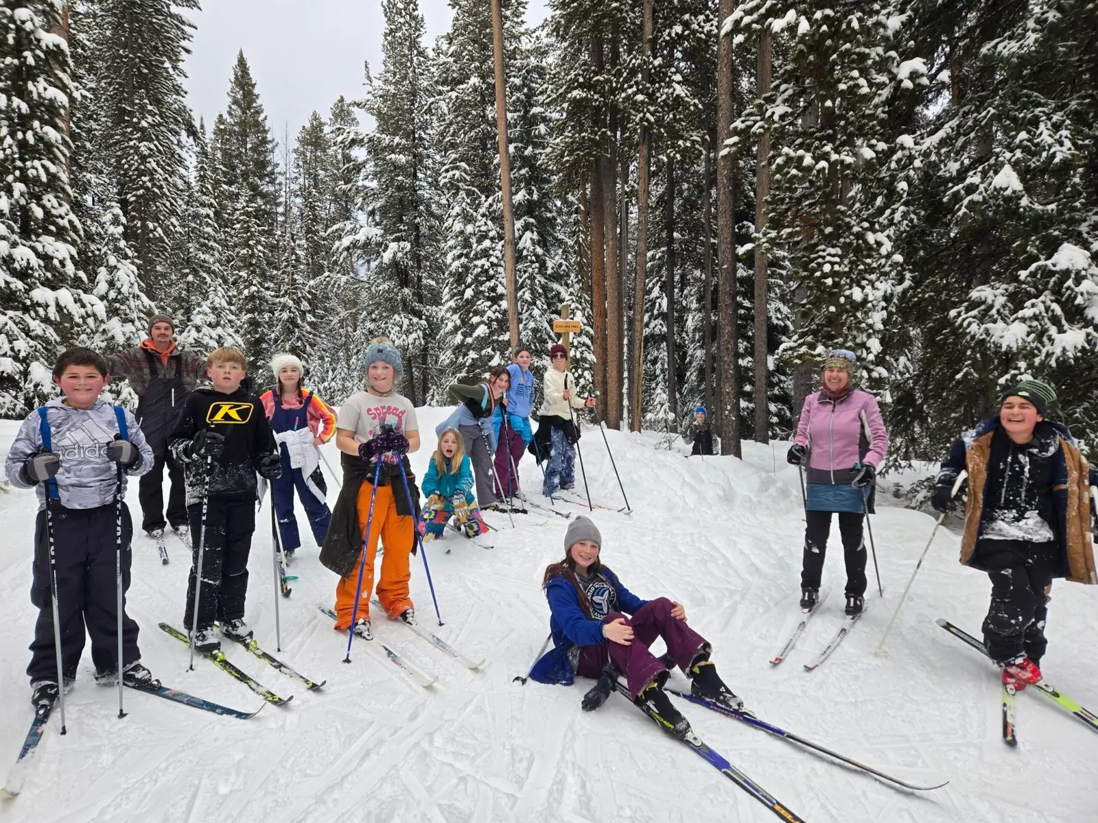 A group of people of various ages wearing winter clothing are cross-country skiing in a snowy forest.