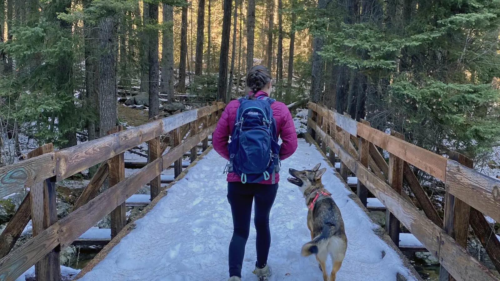 A woman with a backpack walks with a dog across a snow-covered wooden bridge in the woods.