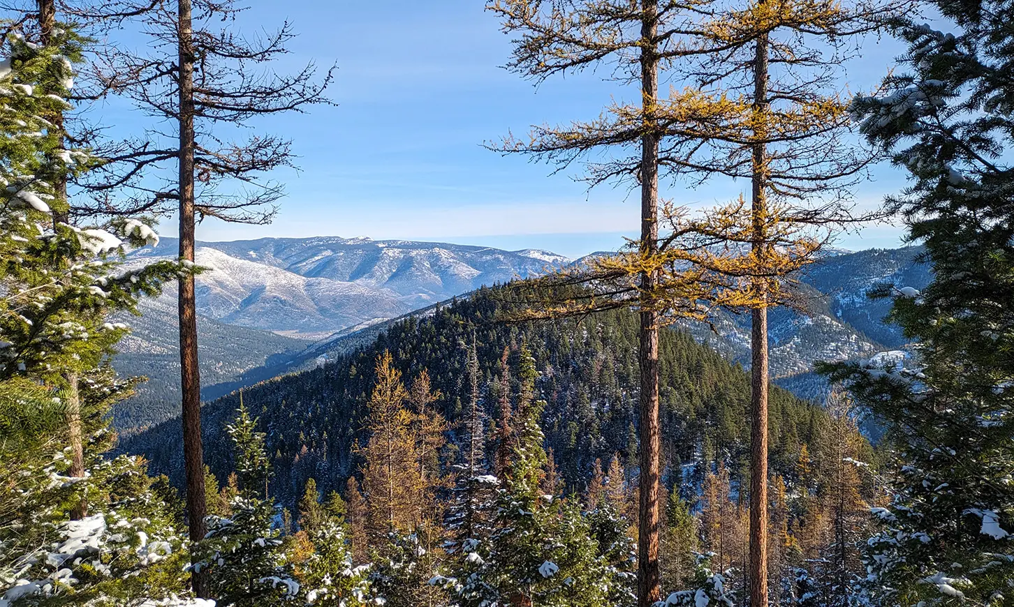 A scenic view of a snow-dusted mountain landscape seen through forest trees.