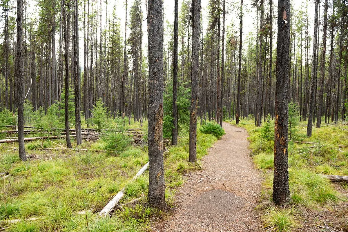 Hiking - River Edge Resort &Amp; Steakhouse