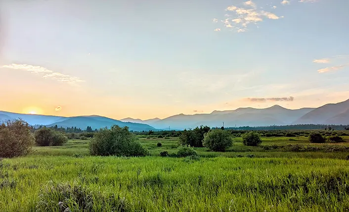 A scenic view of a meadow and rolling mountains at sunset.
