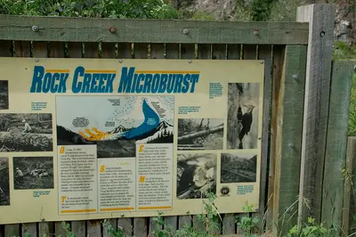 Photo from flickr.com An informational sign explains the concept of a microburst and its impact on the local forest ecosystem.