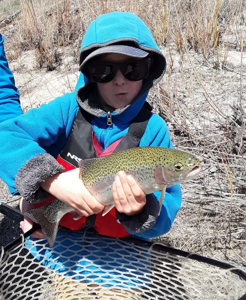 learn to fish