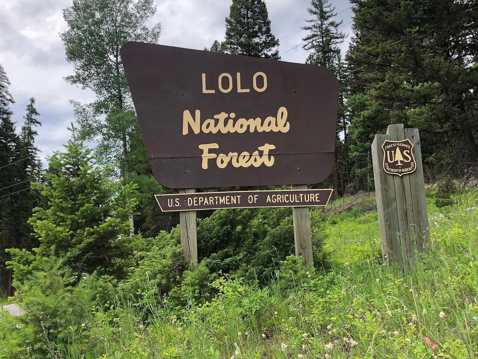 File:Welcome to the Lolo National Forest (48205722722).jpg