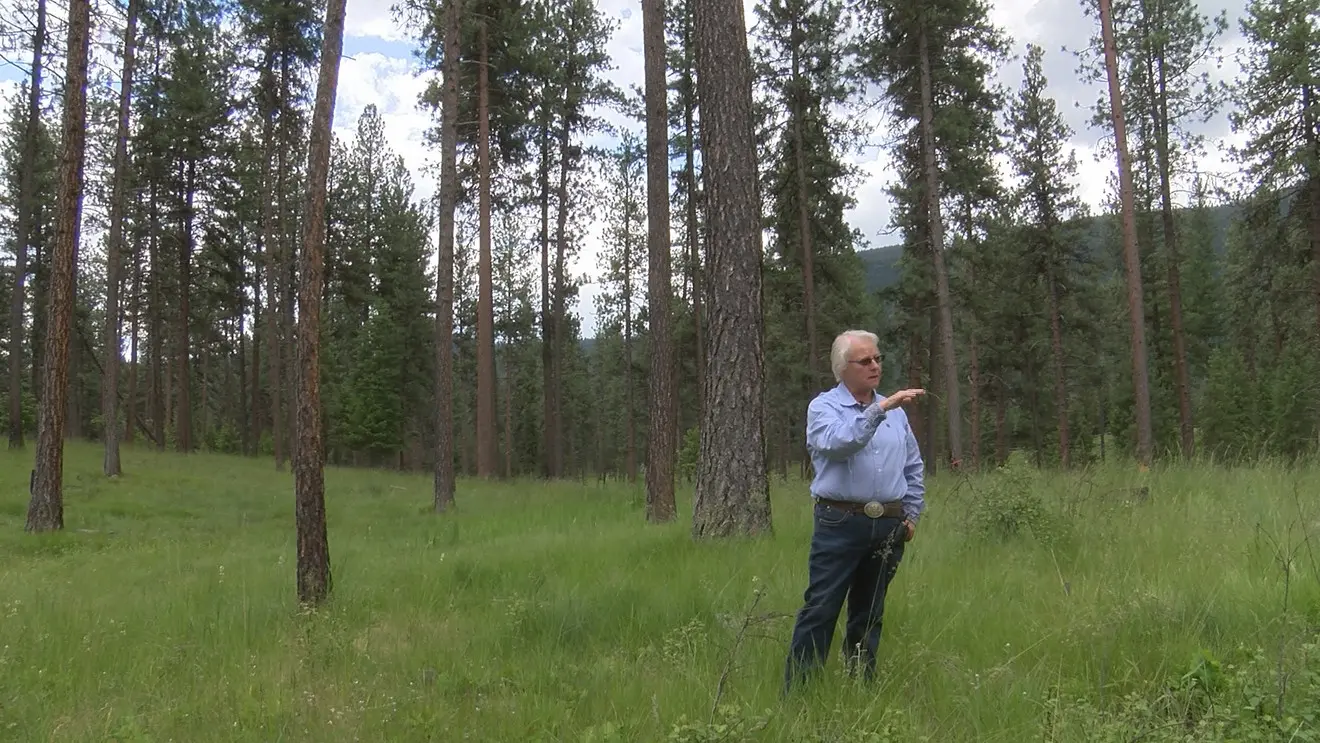 An older man stands in a grassy forest clearing and points toward the trees.