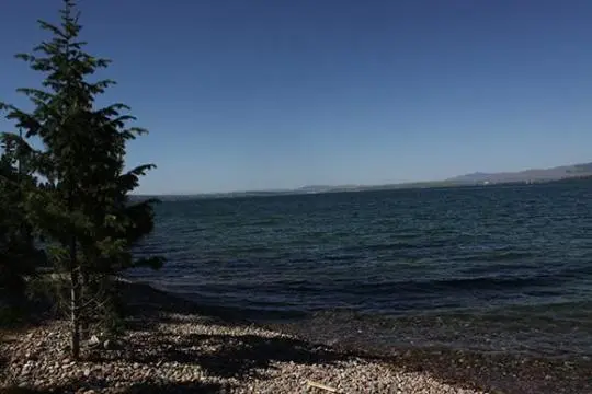 A coniferous tree stands on a rocky shore next to a large body of water.