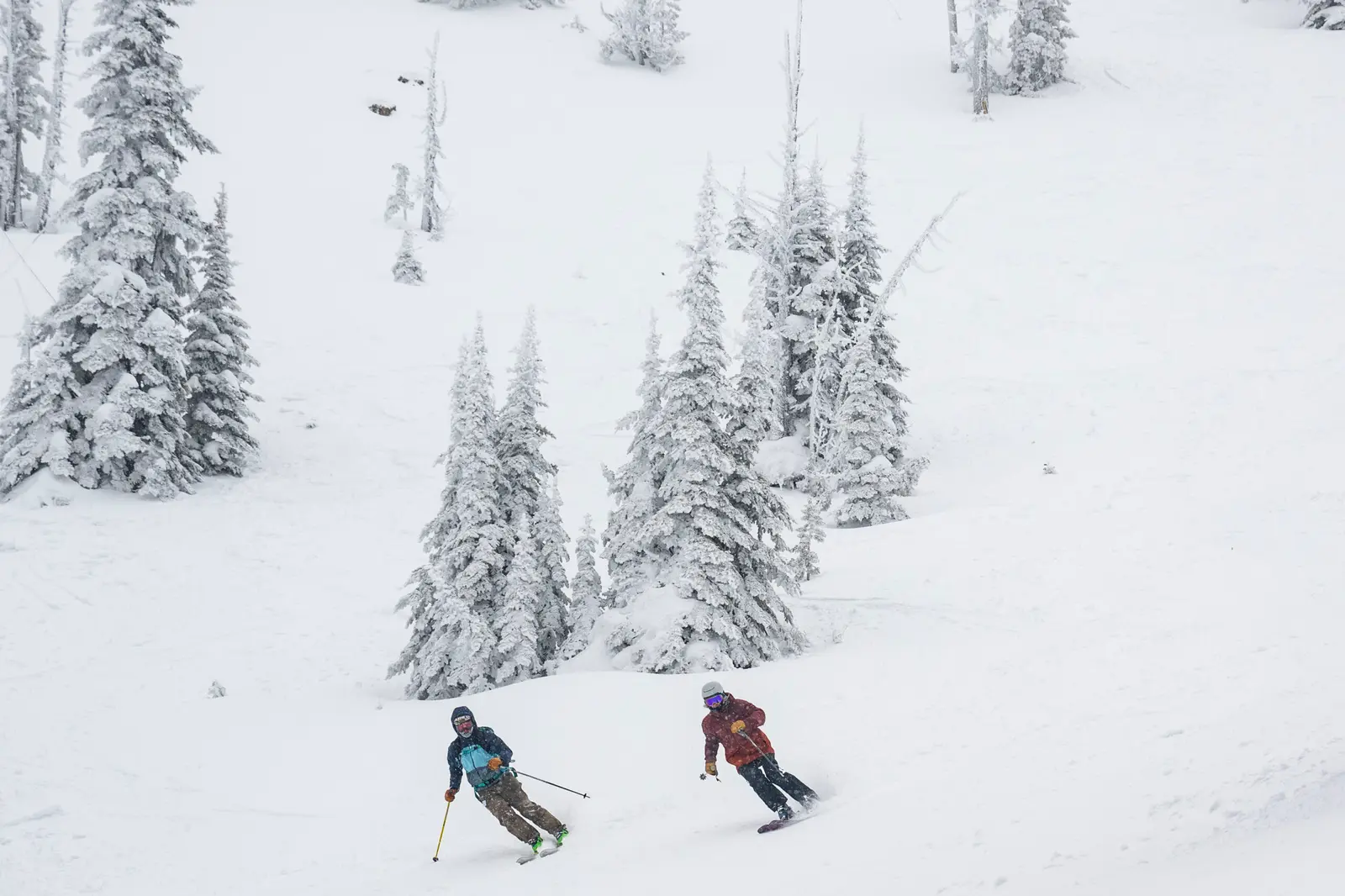 Two skiers glide down a snow-covered slope surrounded by pine trees.