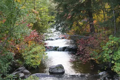 Belmont Creek