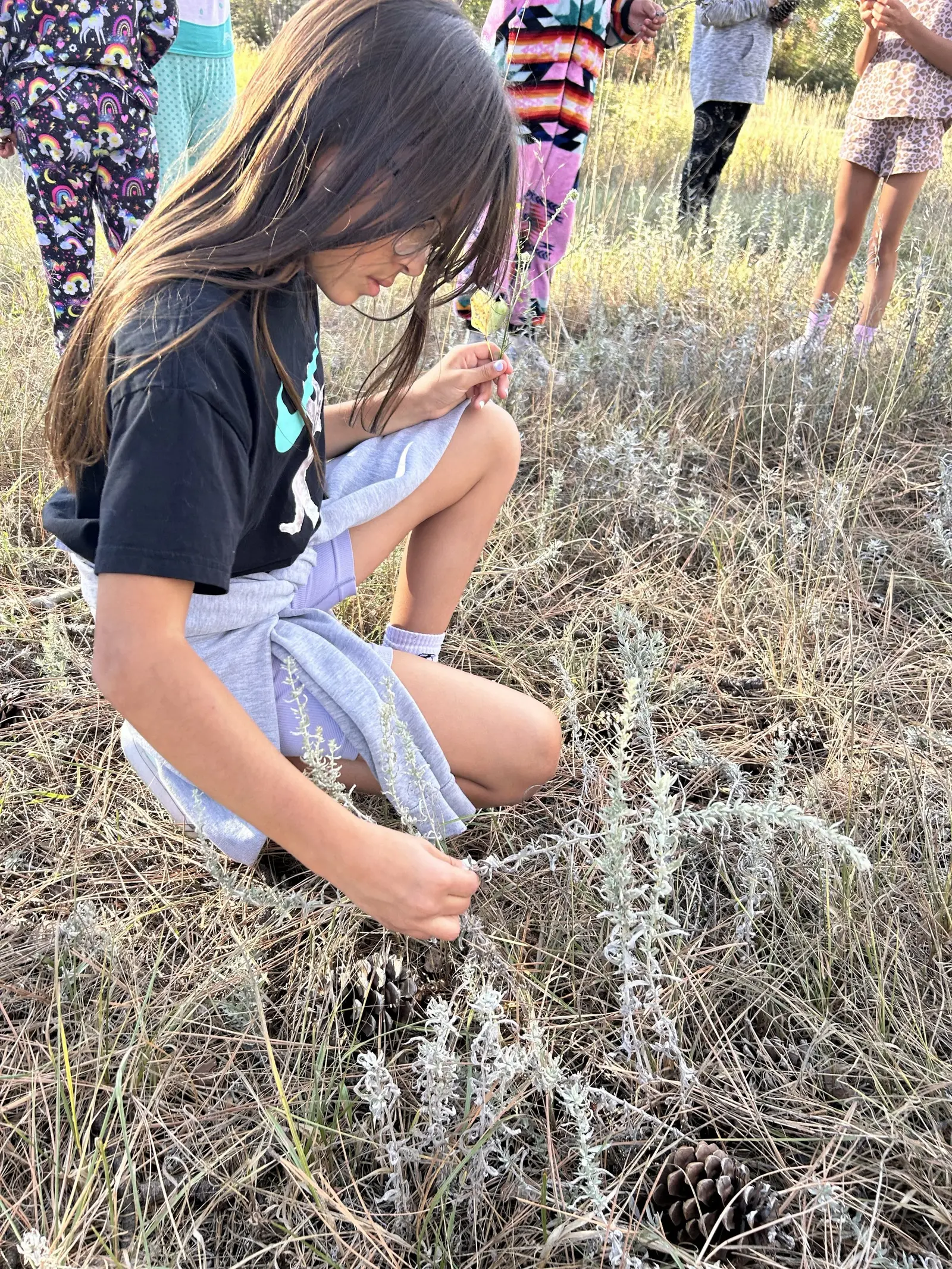 A group of children explore and touch plants in a grassy field.