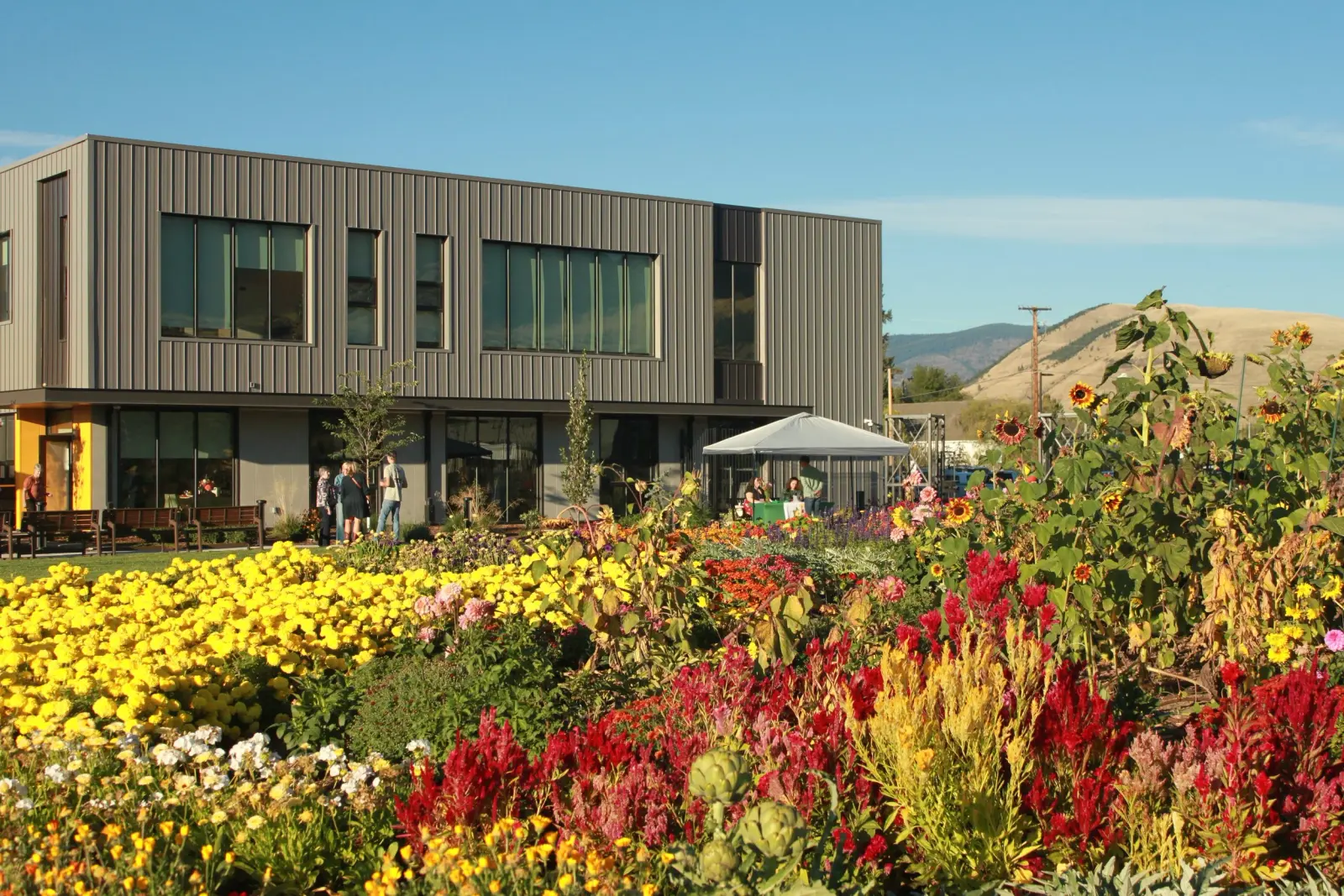 A garden with diverse flowers sits in front of a modern office building with people standing outside.