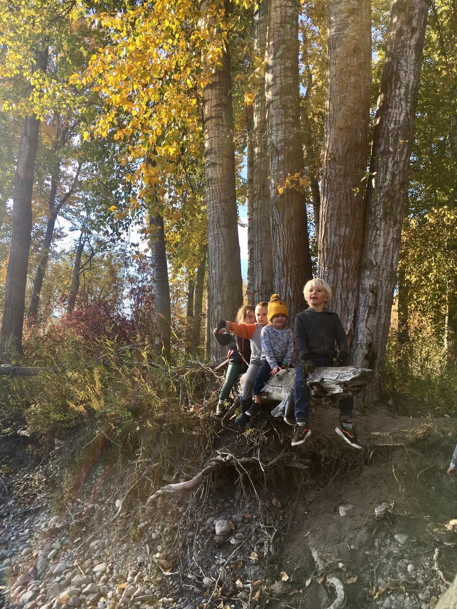 A group of young children sit together on a fallen log in a forest during autumn.