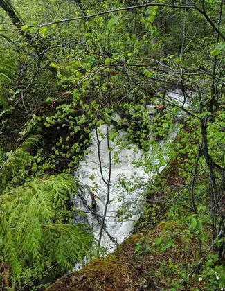 Falls from the trail. Photo by Phoebe Fortunate.