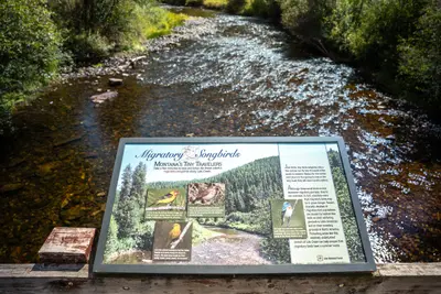Photo from fs.usda.gov Image of the Lolo Creek at the Lolo Creek Campground on the Lolo National Forest, Montana.