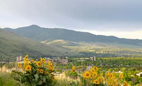 A view of a mountain valley with yellow wildflowers in the foreground.