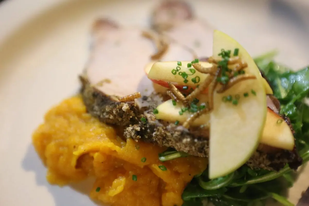 A plated meal features sliced meat, mashed squash, apple slices, and greens, garnished with edible insects.