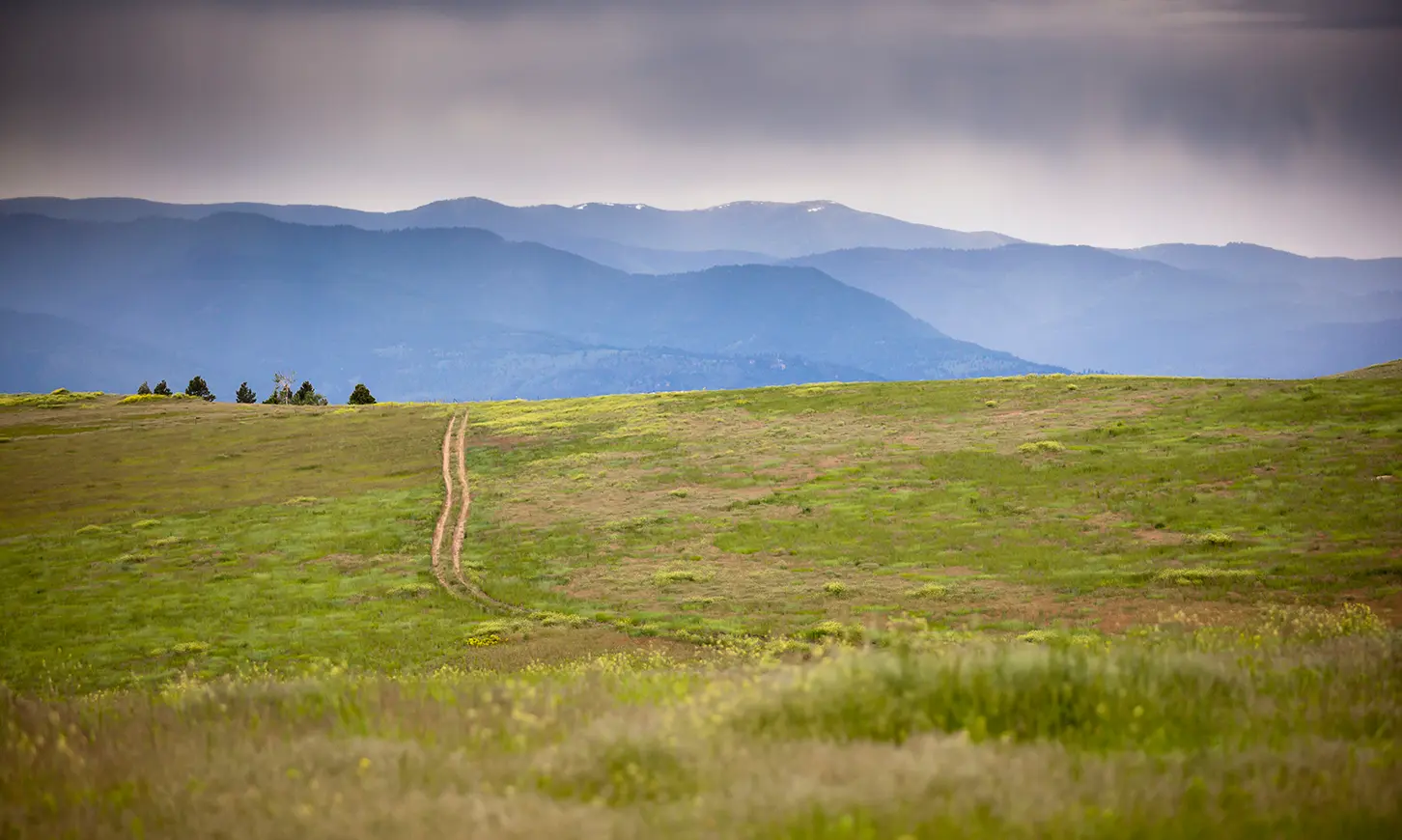 A narrow dirt trail leads across a grassy hillside toward distant mountains under a cloudy sky.