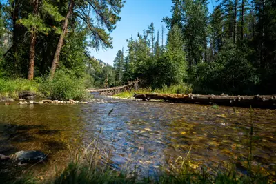 Photo from fs.usda.gov Image of Lolo Creek near Fort Fizzle on the Lolo National Forest.