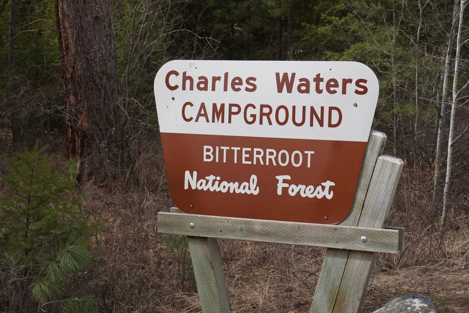 A sign for a campground stands in a forest.