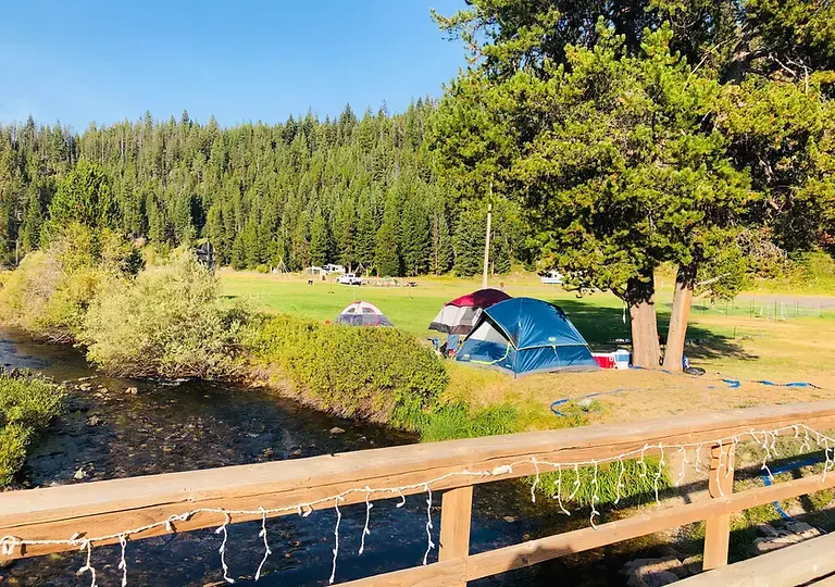 Tents set up camping next to creek