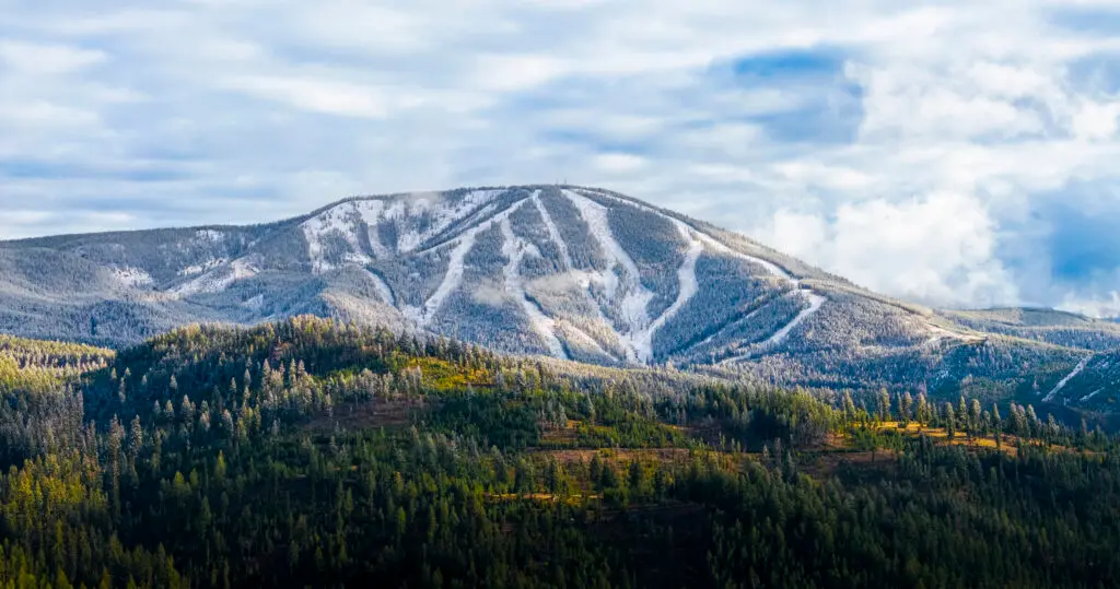 A snow-covered mountain with ski runs sits above a forest.