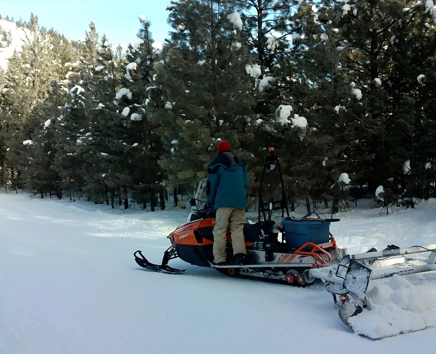 A person on a snowmobile pulls a grooming implement on a snowy trail near a forest.