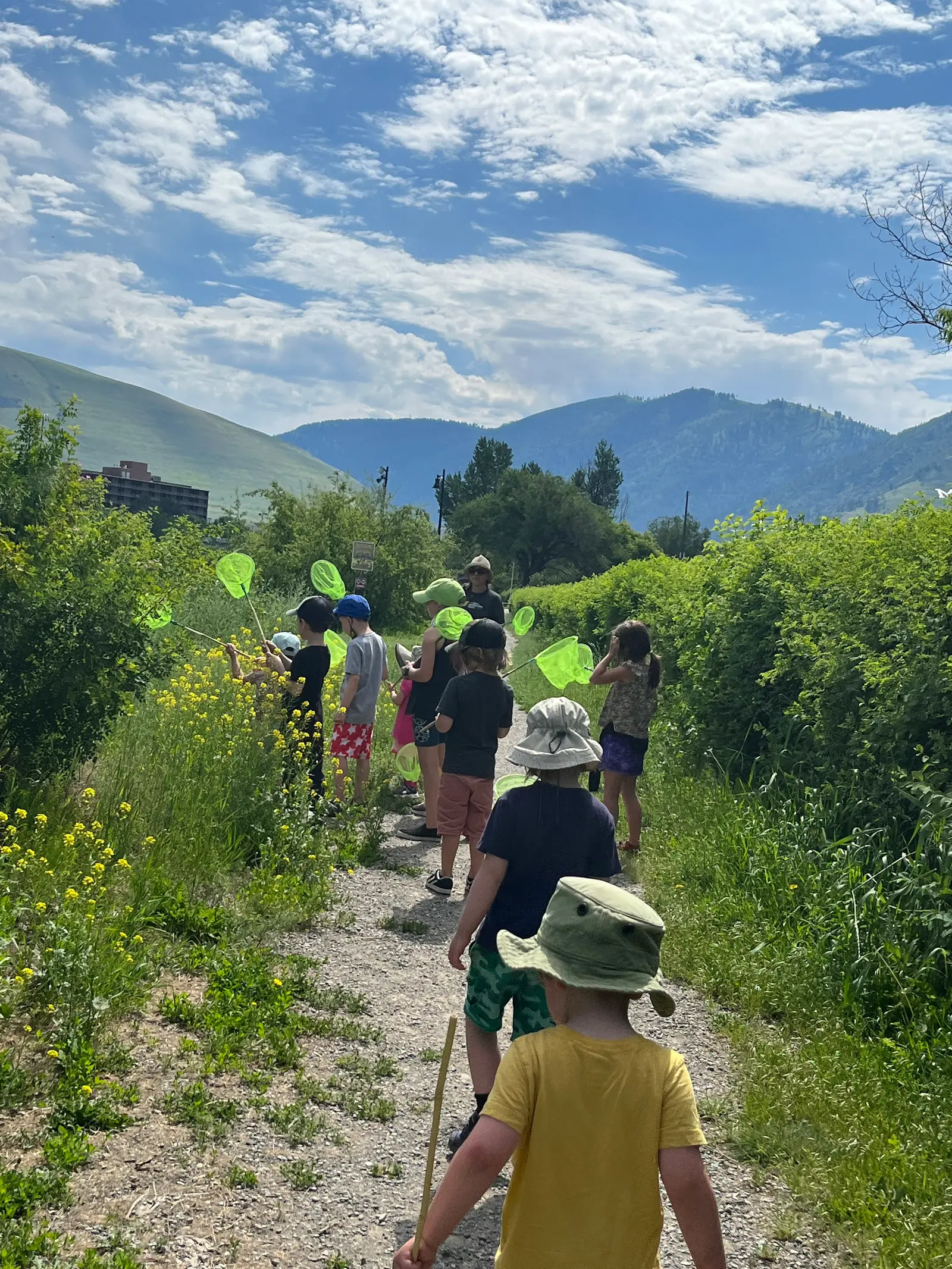 A group of children led by an adult walks along a gravel path while carrying butterfly nets.