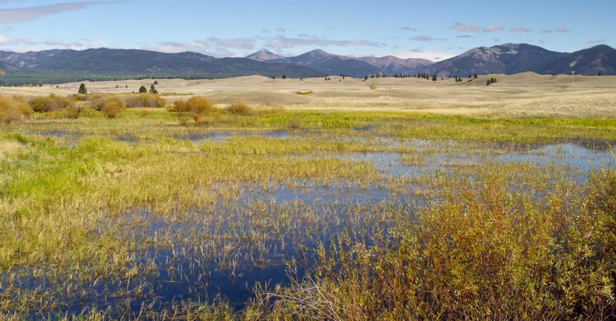 A marshy landscape stretches out before rolling hills and distant mountains under a blue sky.
