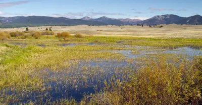 Photo from southwestmt.com A marshy landscape stretches out before rolling hills and distant mountains under a blue sky.