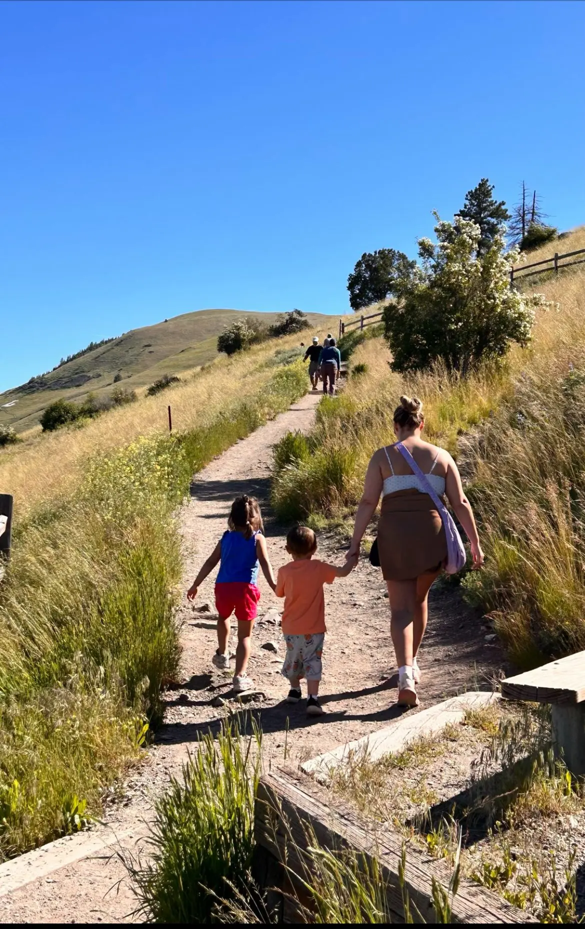 A person walks on a trail with two children holding their hands.
