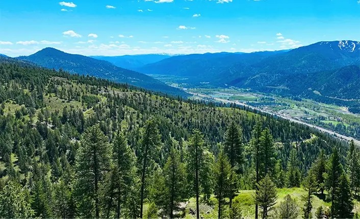 A scenic view of a forested mountain landscape and a valley.
