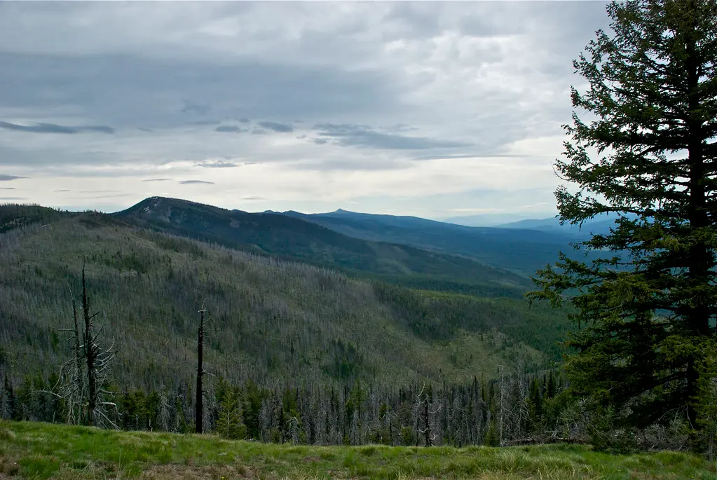 USFS Trail 98, Reservation Divide