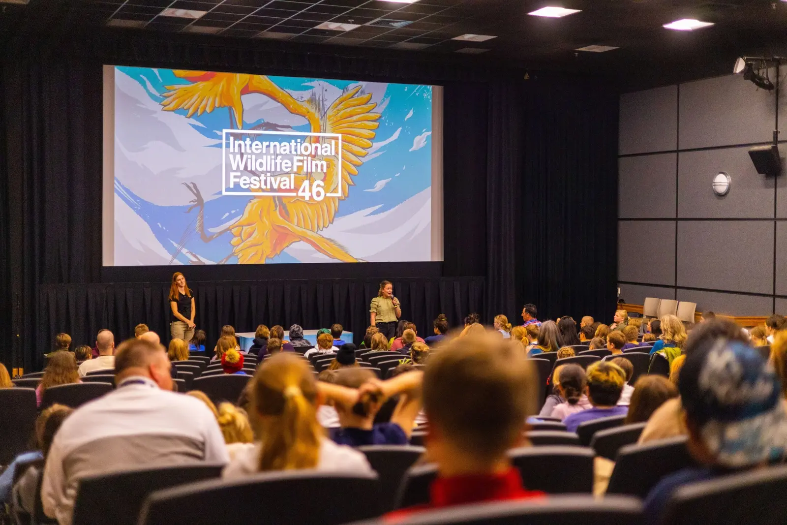A presenter speaks to an audience in a theater during a film festival.