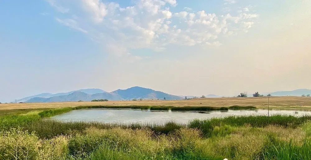 A small pond surrounded by grassy fields and hills under a pale sky.
