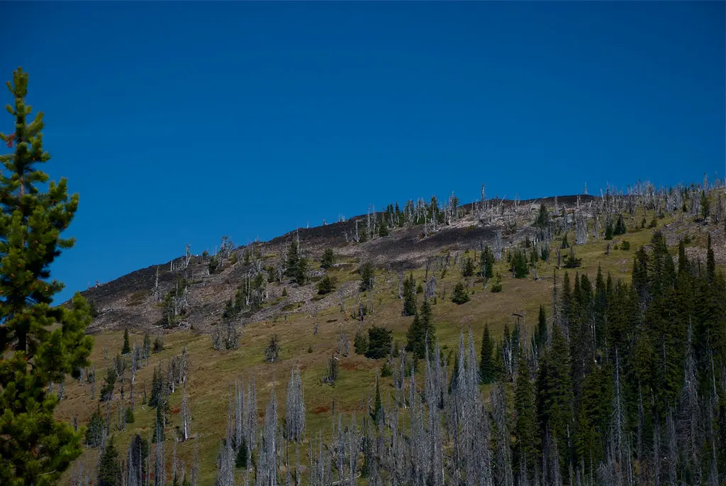 West from Burnt Fork Pinnacle