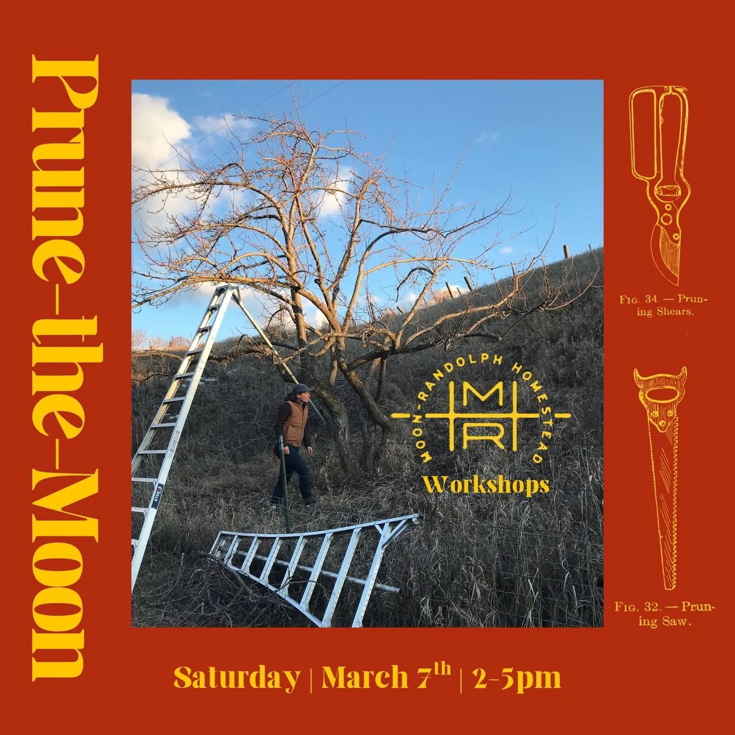 A flyer for a pruning workshop featuring an image of a person with a ladder by a tree.