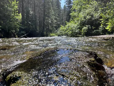 Photo from fs.usda.gov Image of Trout Creek at the Trout Creek Campground on the Lolo National Forest, Montana.