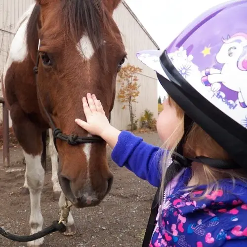 A young child wearing a helmet pets a brown and white horse.